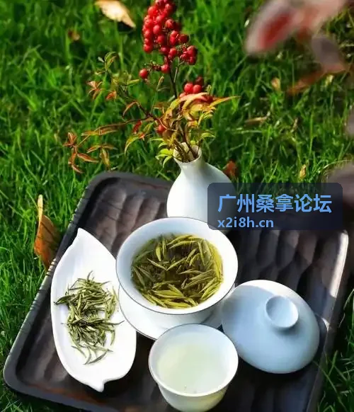 广州桑拿论坛本地桑拿与水疗资讯聚合展示